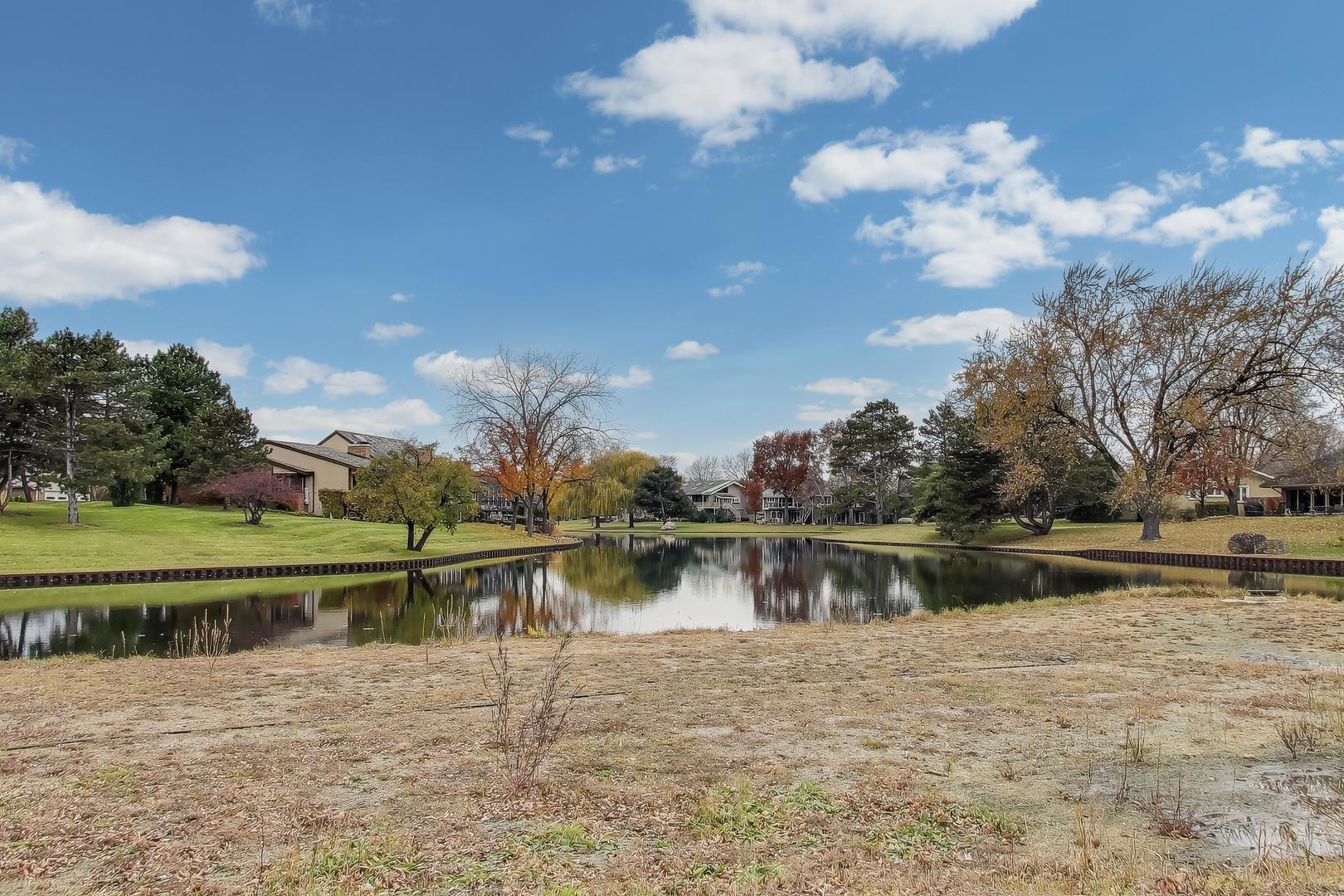 211 Briarwood Pass, Oak Brook, IL 60523