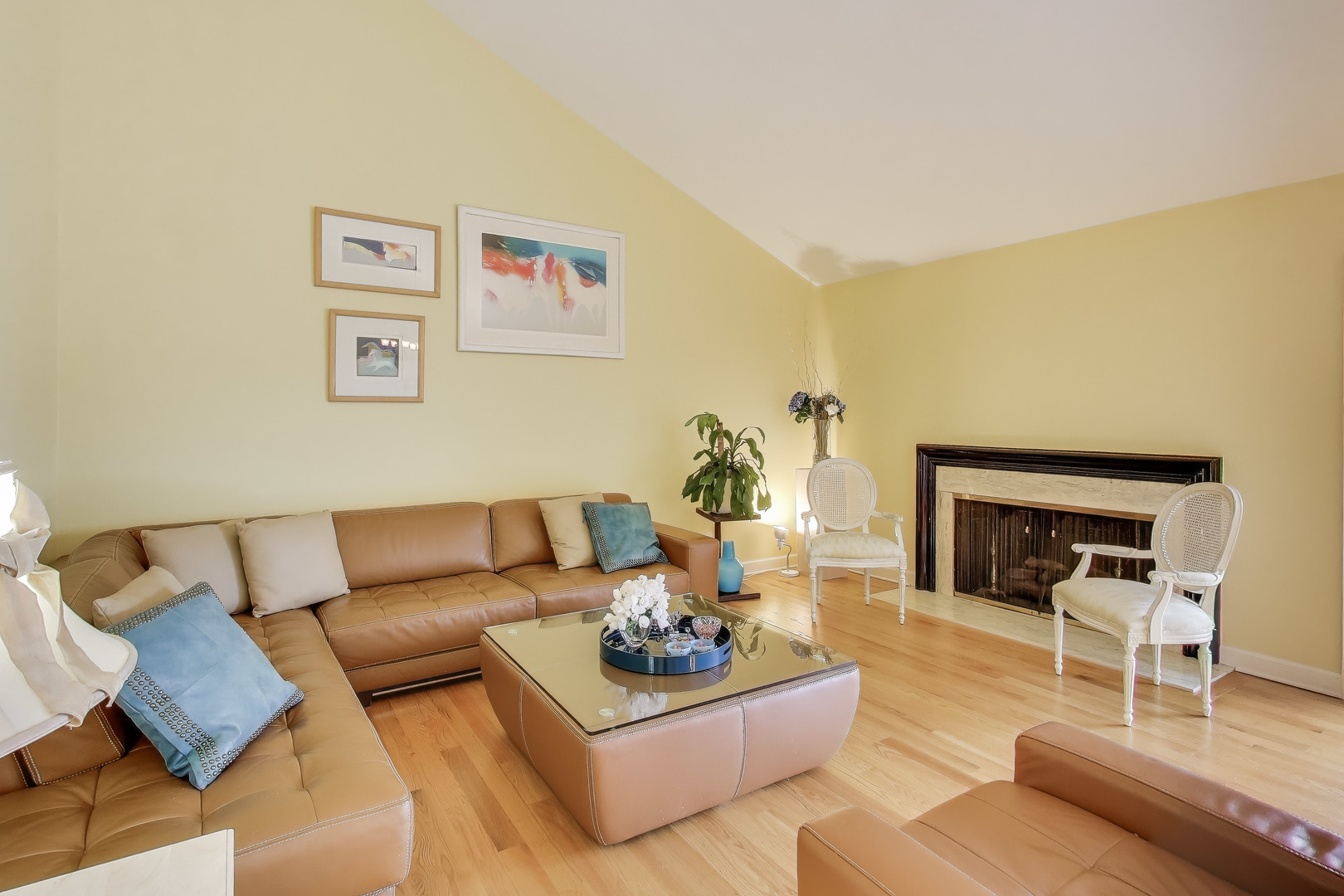 211 Briarwood Pass, Oak Brook, IL 60523