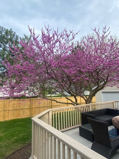 100 S Constitution Drive, Aurora, IL 60506