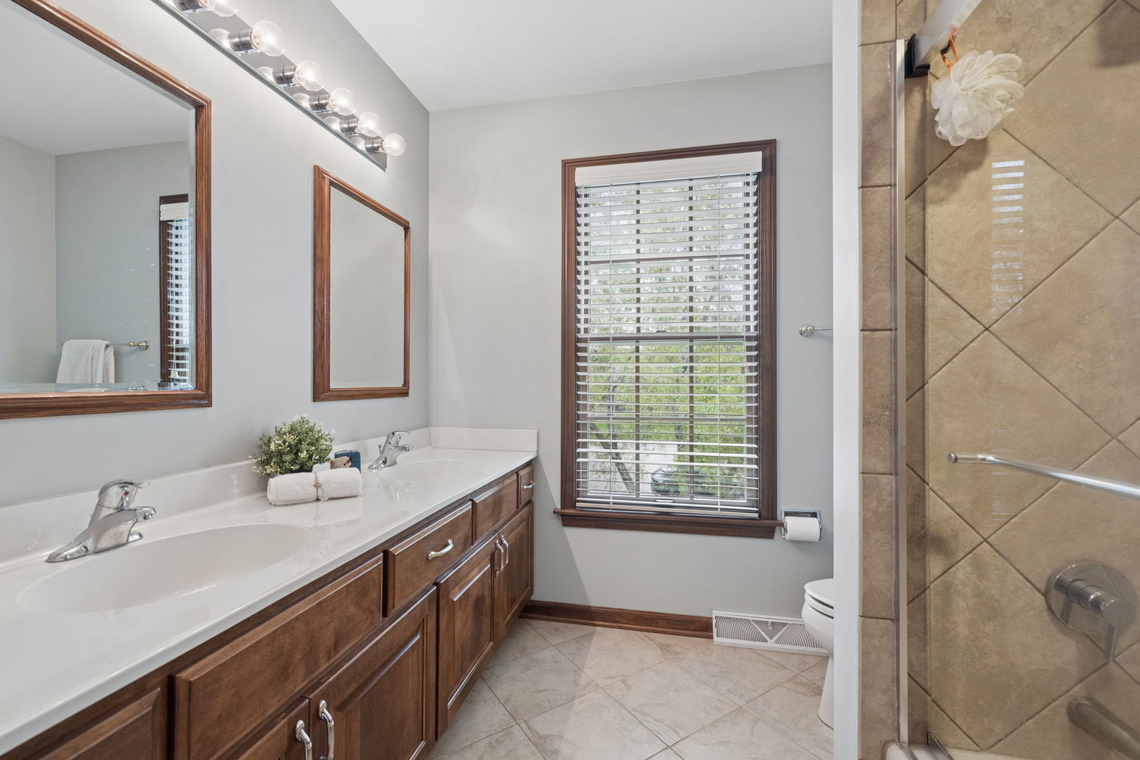 946 Montgomery Court, Naperville, IL 60540