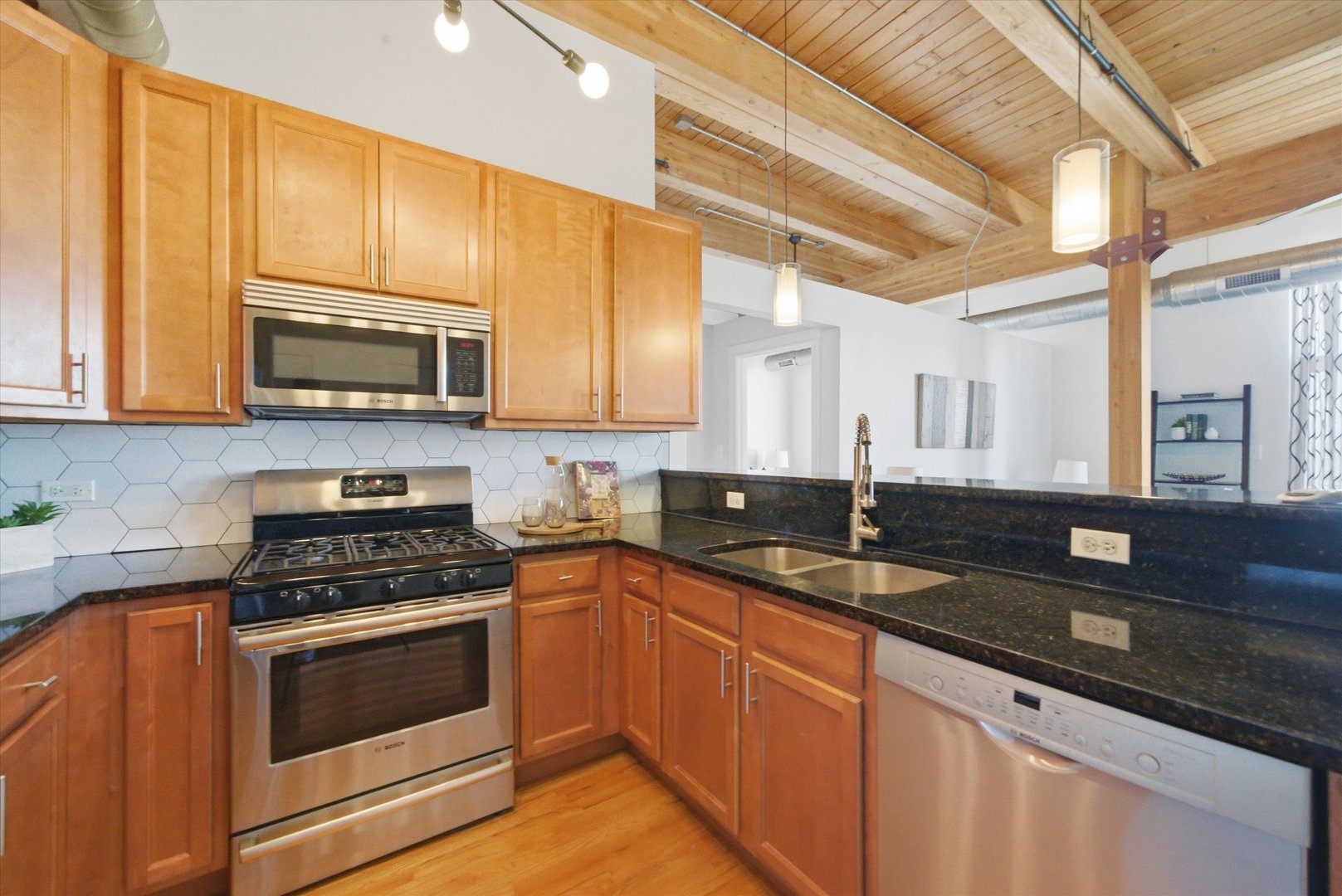 1610 S Halsted Street #401, Chicago, IL 60608