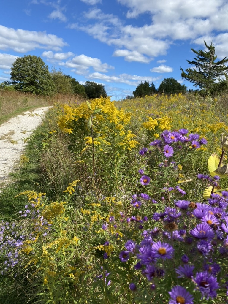 1571 Amos Bennett Street, Grayslake, IL 60030