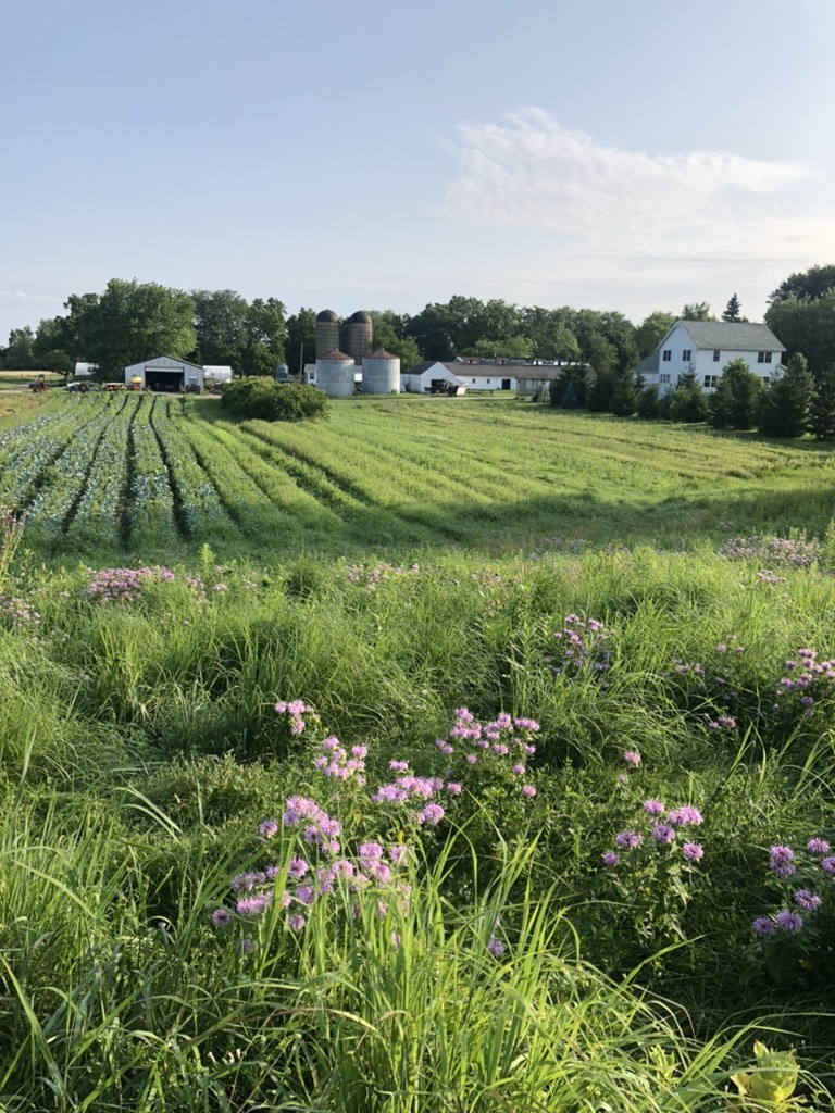 1571 Amos Bennett Street, Grayslake, IL 60030