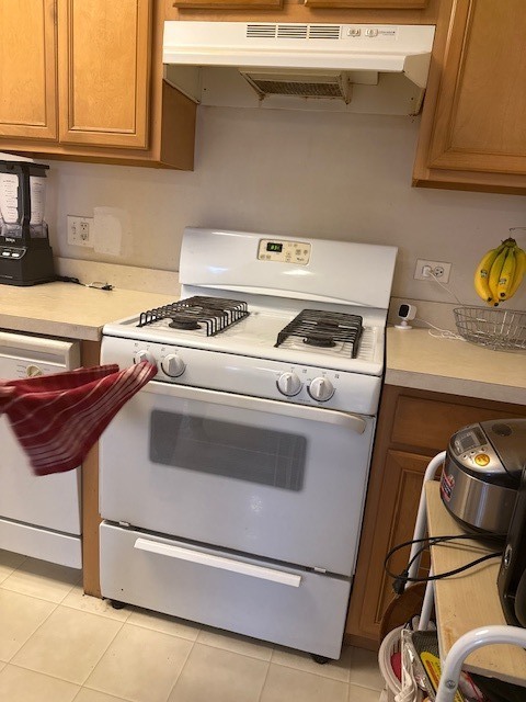 1298 Leonard Drive #1298, Schaumburg, IL 60193