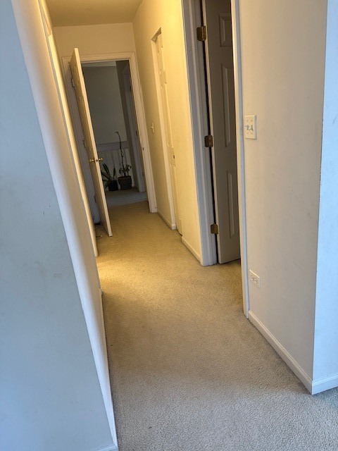 1298 Leonard Drive #1298, Schaumburg, IL 60193