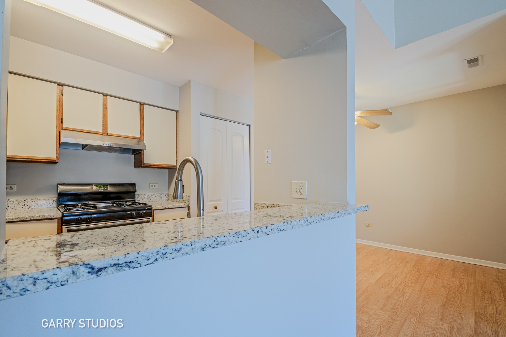 46 N Park Avenue #7, Lombard, IL 60148