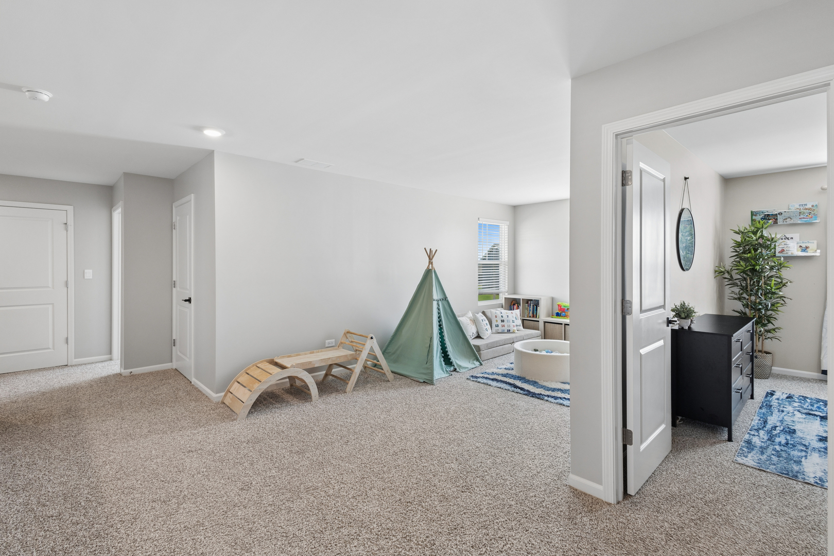 25436 W Ashton Drive, Plainfield, IL 60586