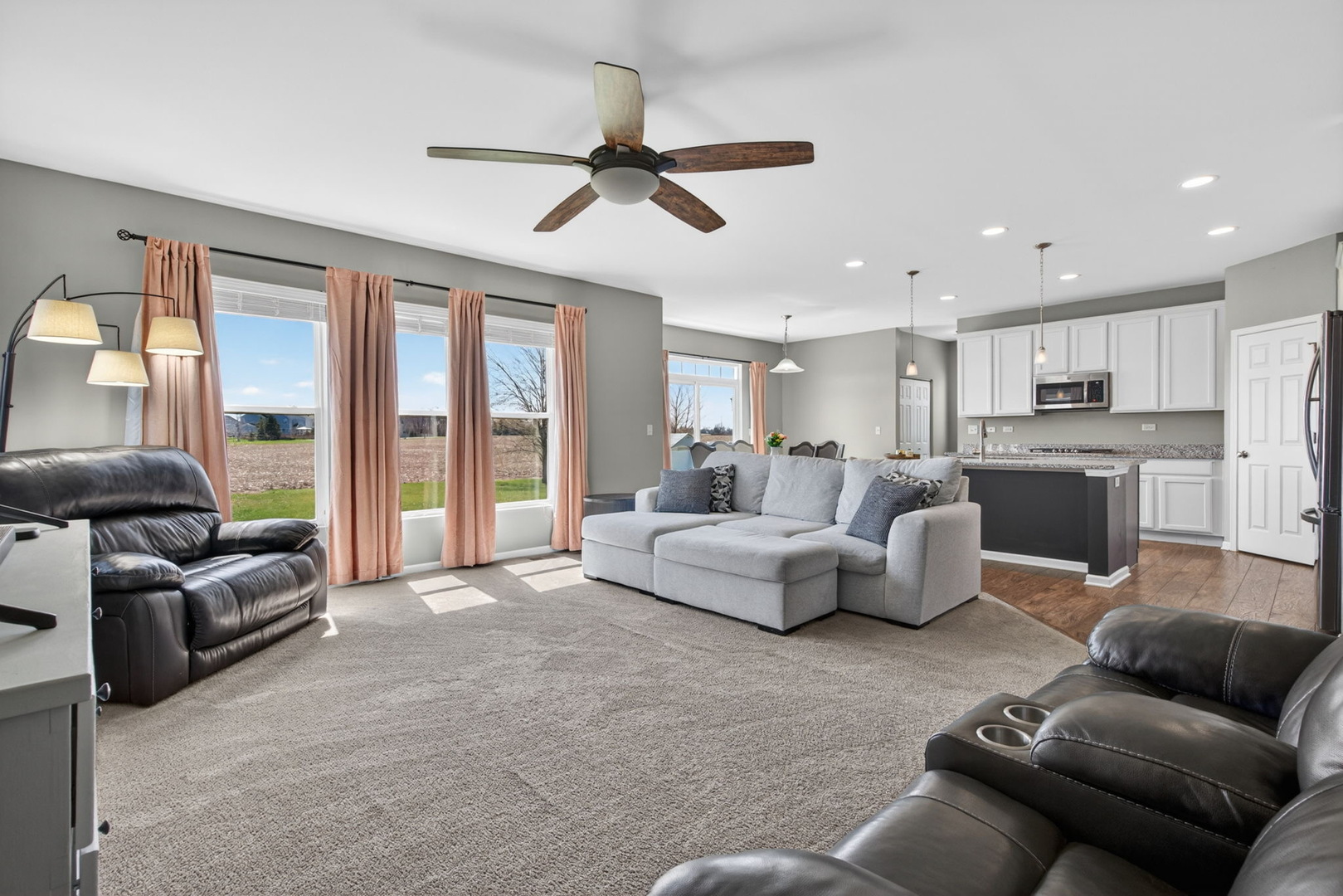 26525 W Old Stage Lane, Channahon, IL 60410