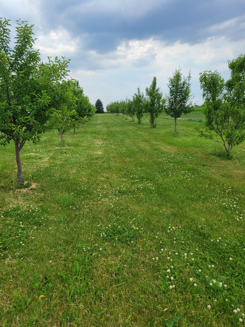 12350 W IL RT 26 Route, Polo, IL 61064