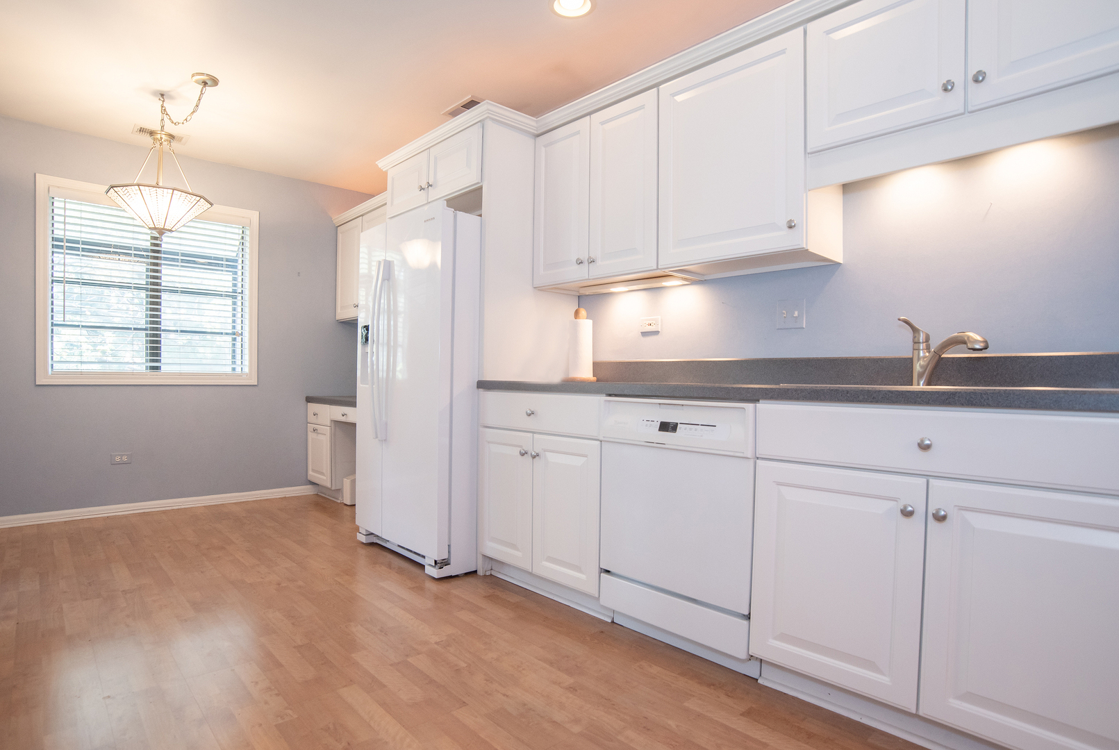 538 Banyon Lane #D, La Grange, IL 60525