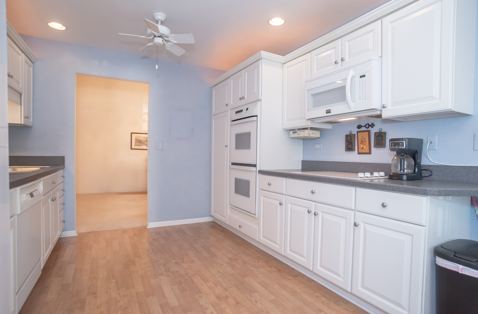 538 Banyon Lane #D, La Grange, IL 60525