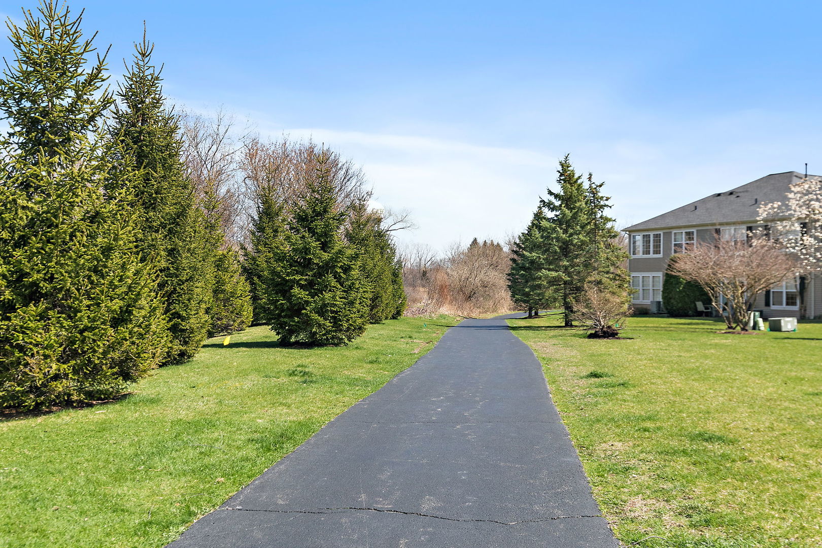 535 Telluride Drive, Gilberts, IL 60136