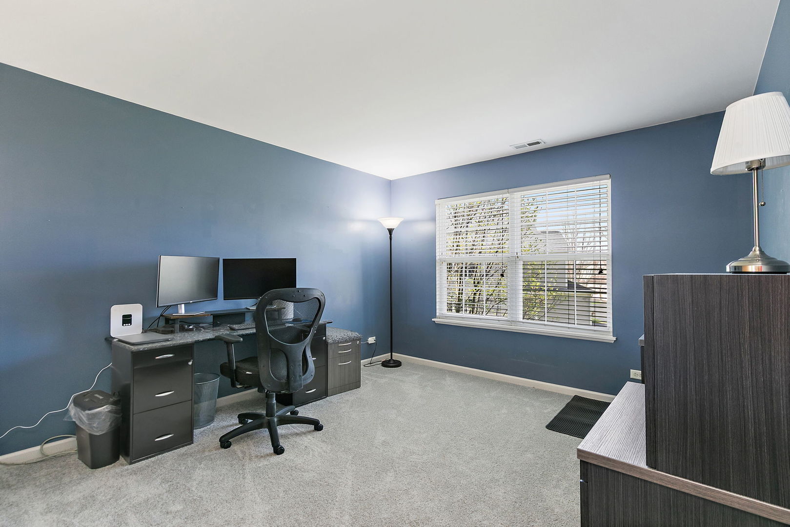 535 Telluride Drive, Gilberts, IL 60136