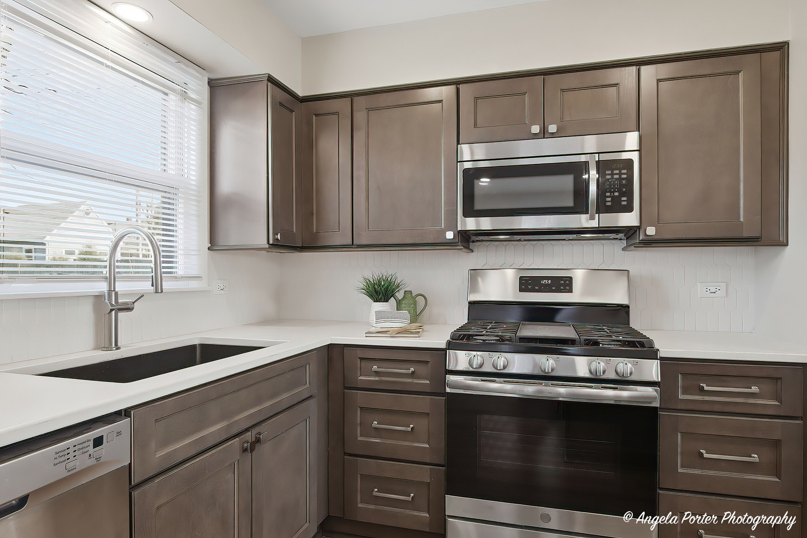 410 W Mueller Street, Arlington Heights, IL 60004