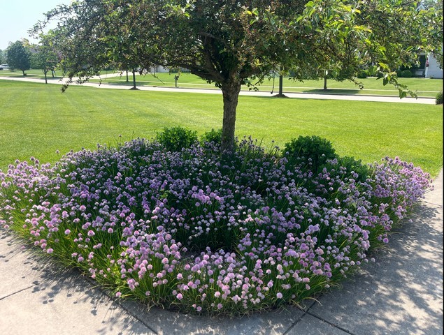 25812 91st Street, Salem, WI 53168