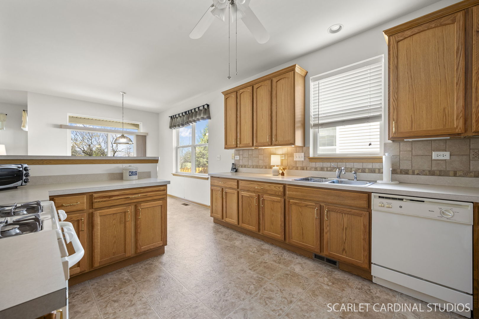 739 Bohannon Circle, Oswego, IL 60543