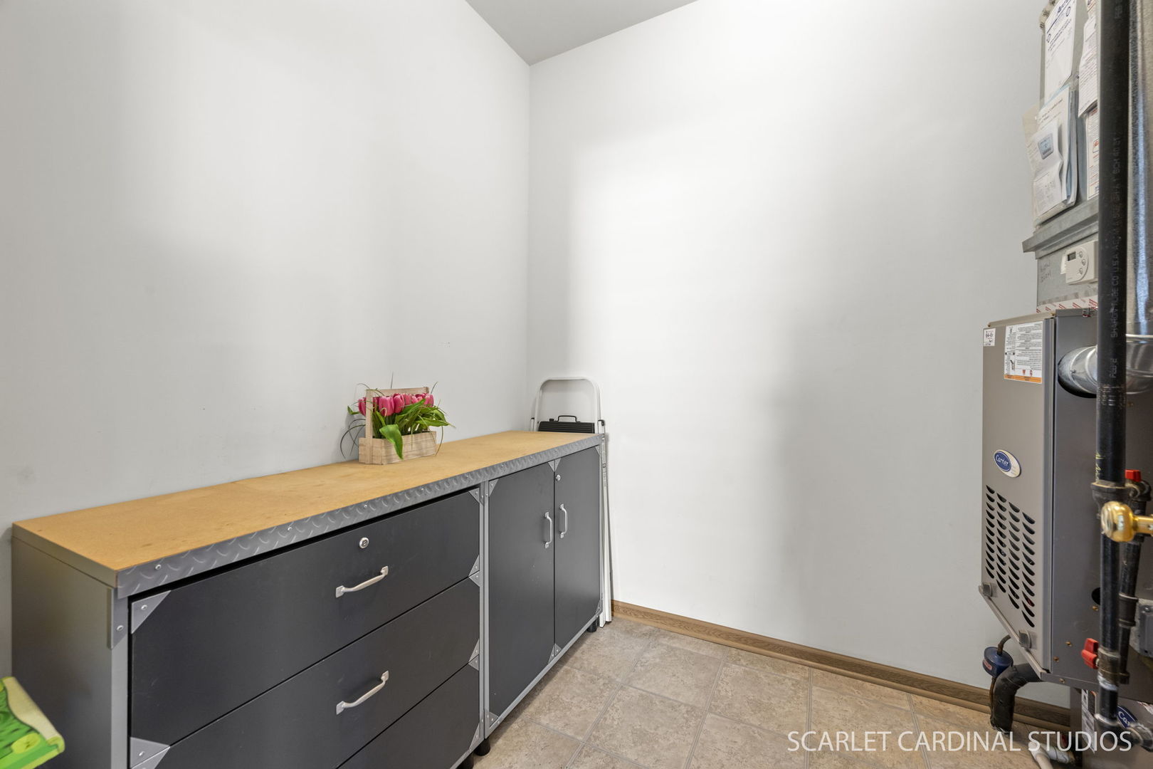 739 Bohannon Circle, Oswego, IL 60543