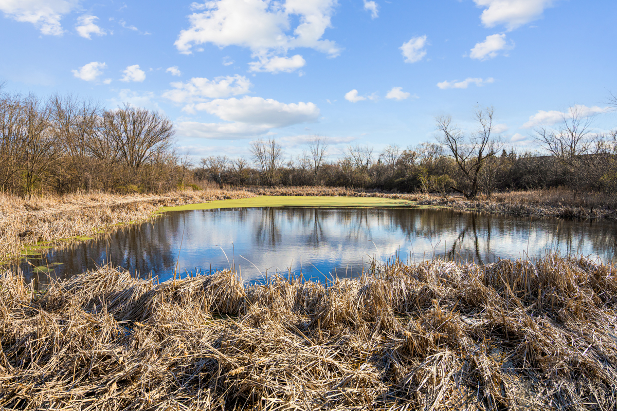 93 N Victoria Lane #D, Streamwood, IL 60107