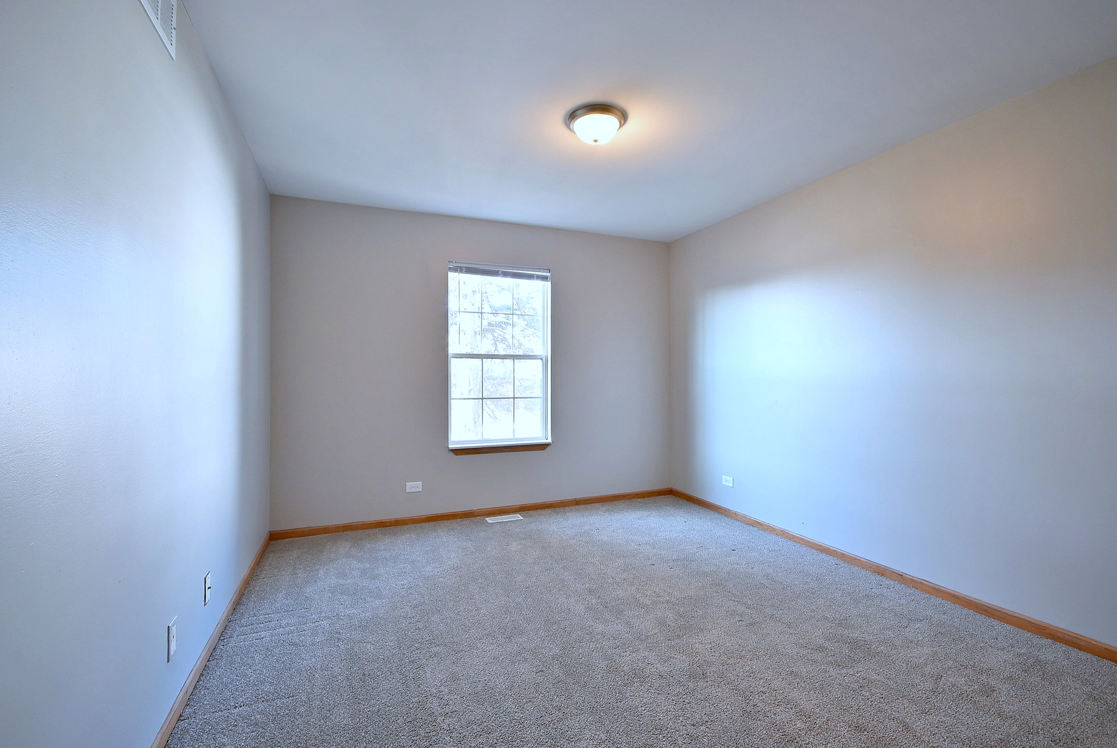 19 E Pineview Drive, Round Lake Park, IL 60073