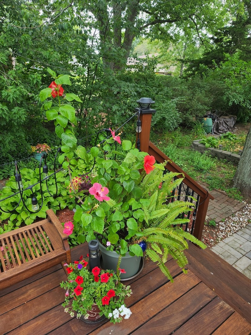 300 Harper Court, Normal, IL 61761