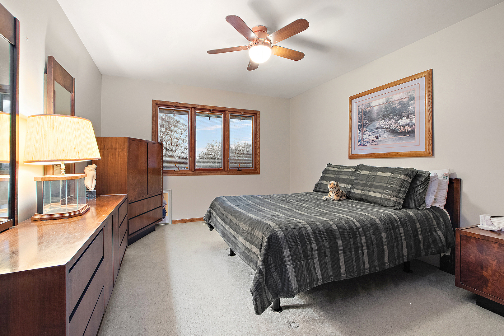 8838 W Manhattan Monee Road, Frankfort, IL 60423