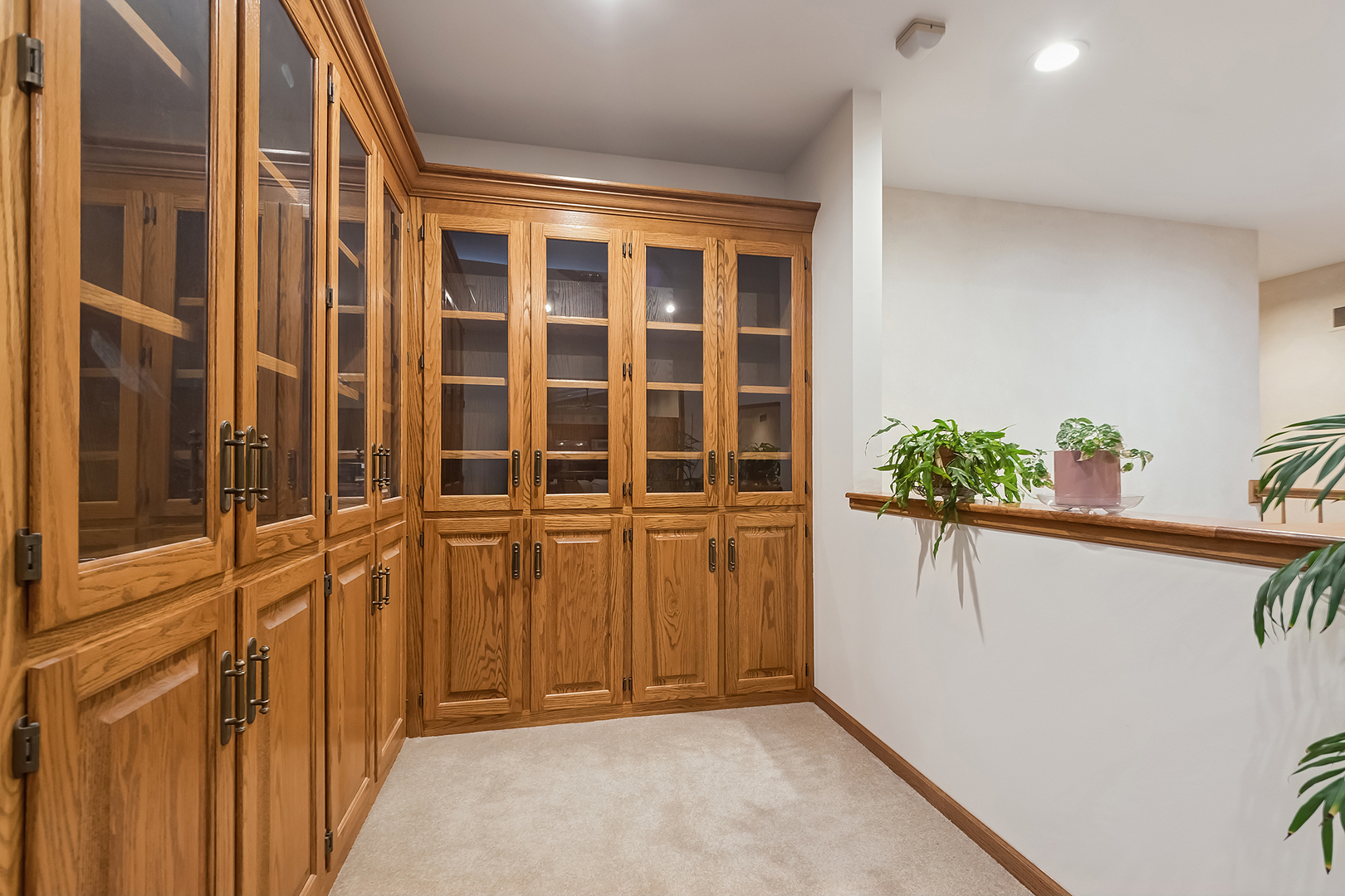 8838 W Manhattan Monee Road, Frankfort, IL 60423