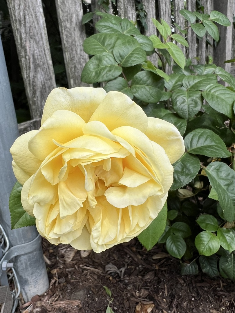 3195 Village Green Drive, Aurora, IL 60504