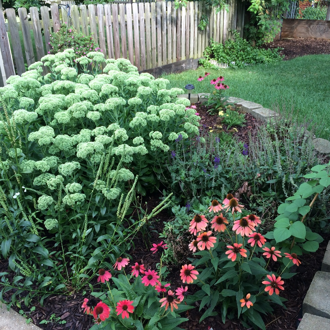 3195 Village Green Drive, Aurora, IL 60504