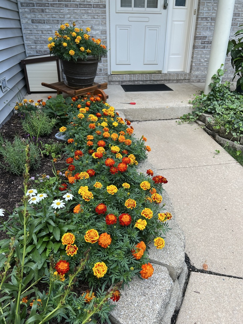 3195 Village Green Drive, Aurora, IL 60504