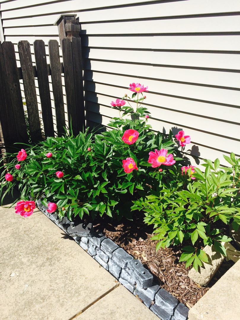 3195 Village Green Drive, Aurora, IL 60504