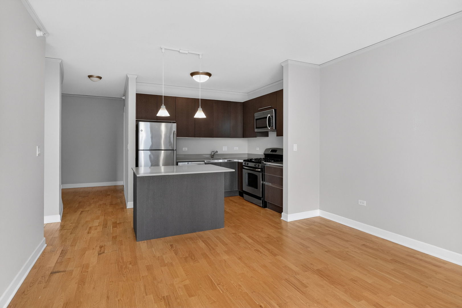 225 N Columbus Drive #5411, Chicago, IL 60601