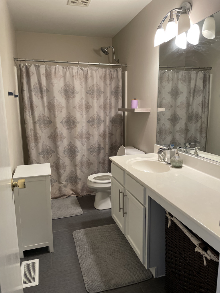 24358 Leski Lane, Plainfield, IL 60585