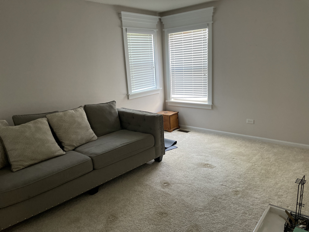 24358 Leski Lane, Plainfield, IL 60585