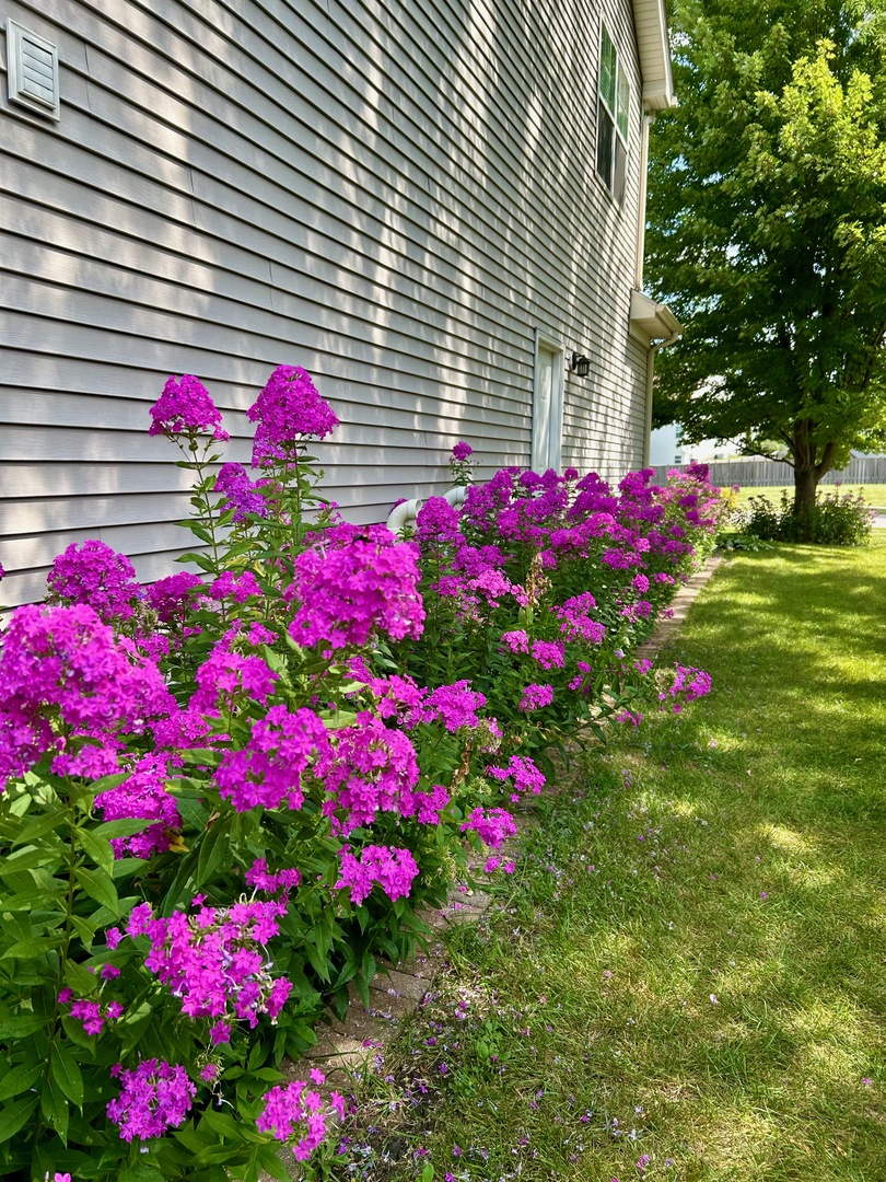 12937 Grande Poplar Circle, Plainfield, IL 60585