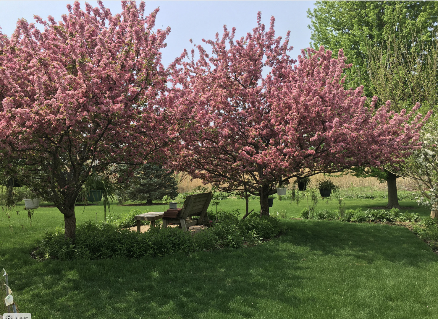 12937 Grande Poplar Circle, Plainfield, IL 60585