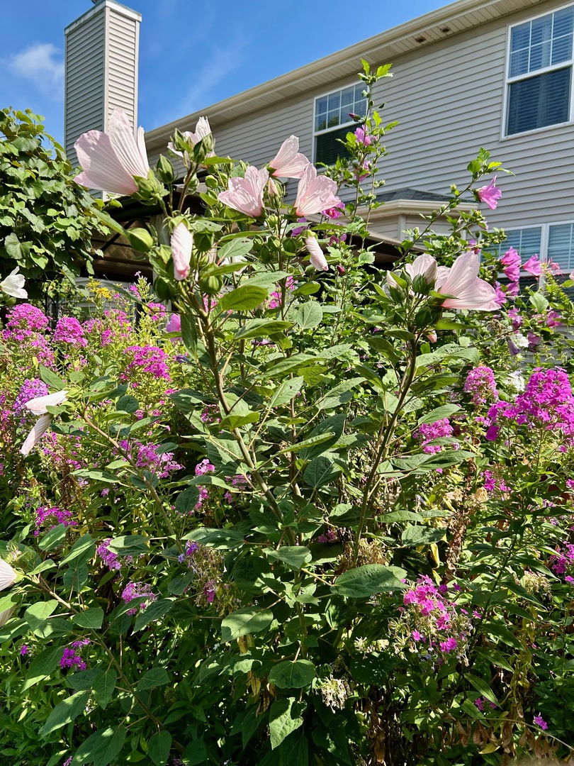 12937 Grande Poplar Circle, Plainfield, IL 60585