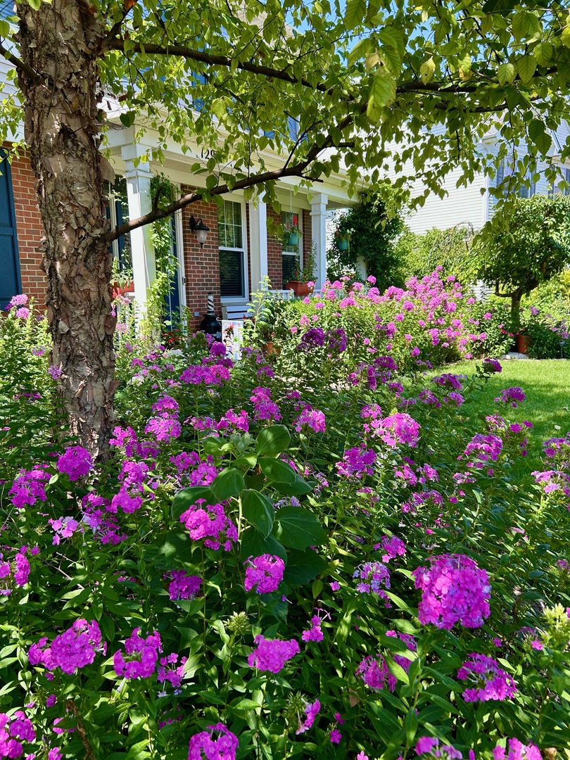 12937 Grande Poplar Circle, Plainfield, IL 60585