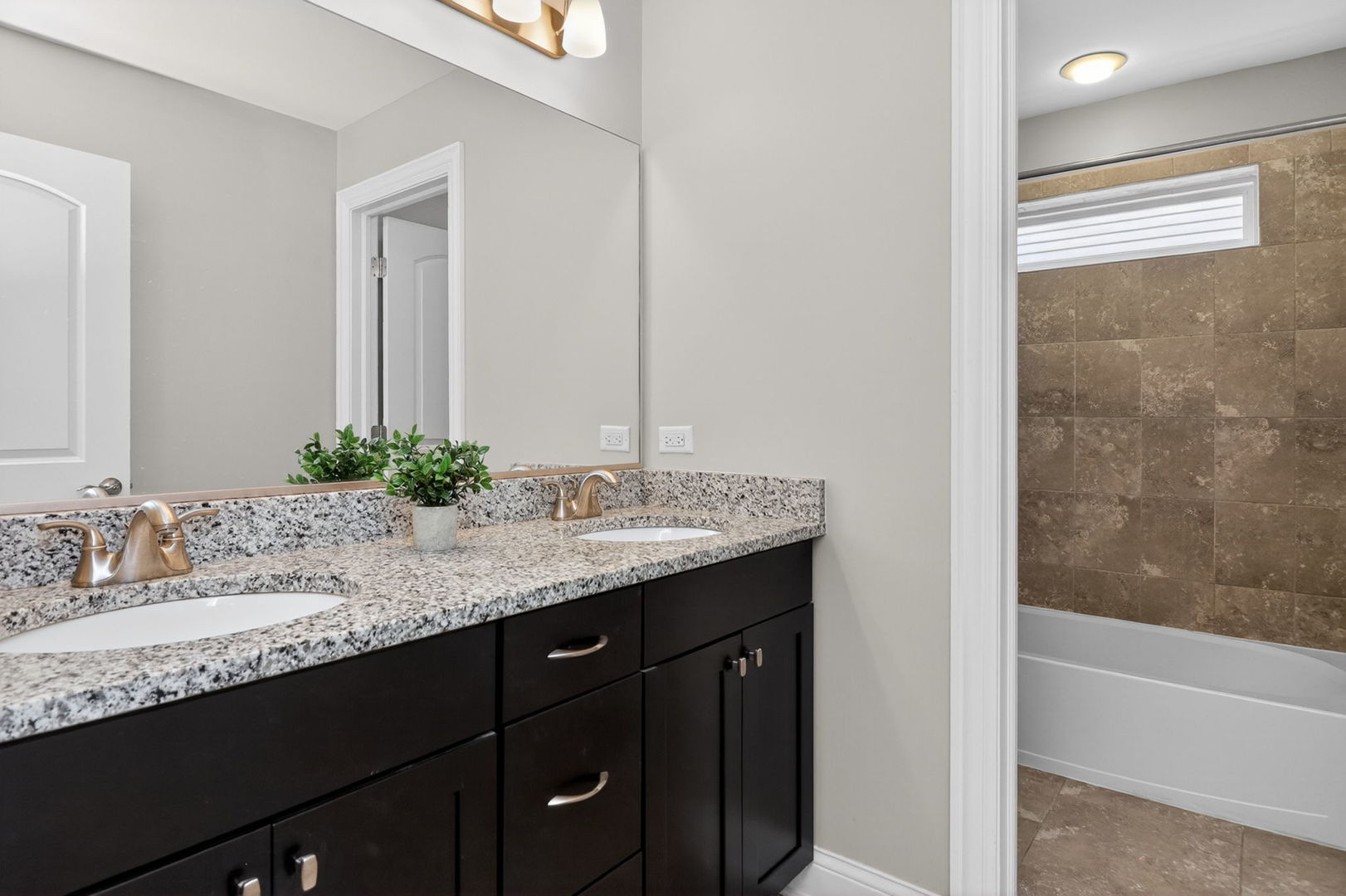 1039 Carol Street, Downers Grove, IL 60516