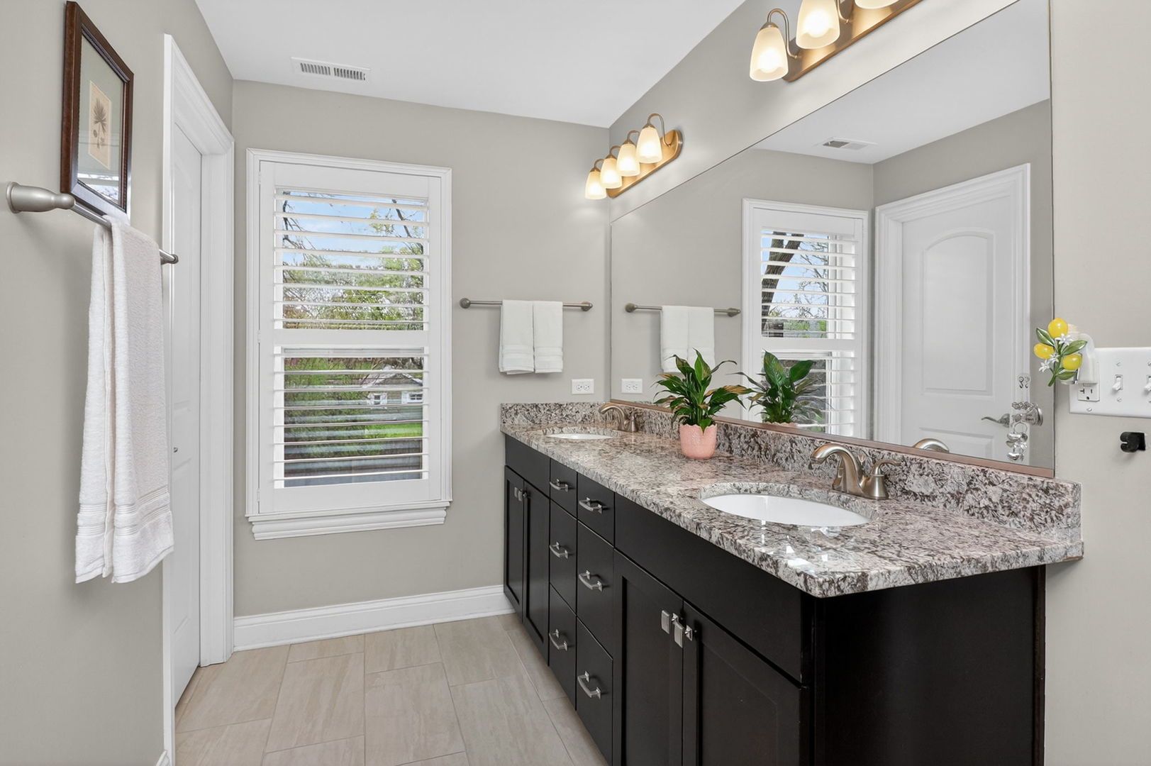 1039 Carol Street, Downers Grove, IL 60516