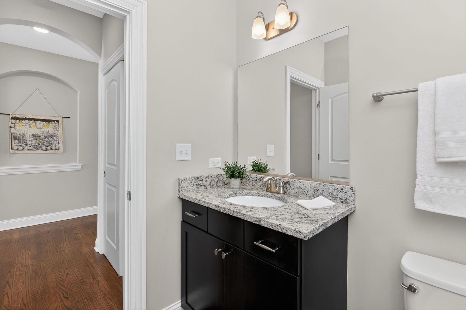 1039 Carol Street, Downers Grove, IL 60516