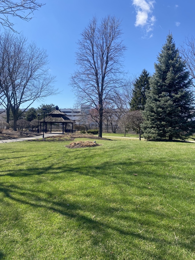 10114 Devon Court, Rosemont, IL 60018