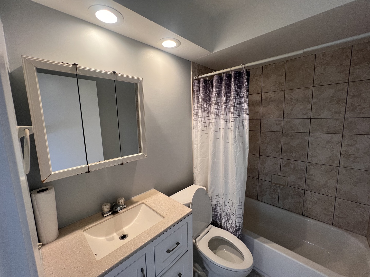 1303 N Baldwin Court #B3, Palatine, IL 60074