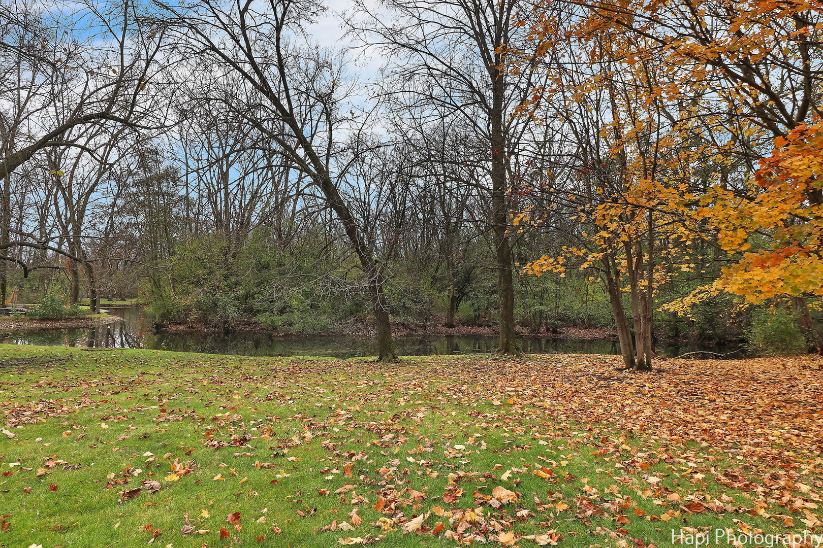 11 Lakewood Drive, Bannockburn, IL 60015