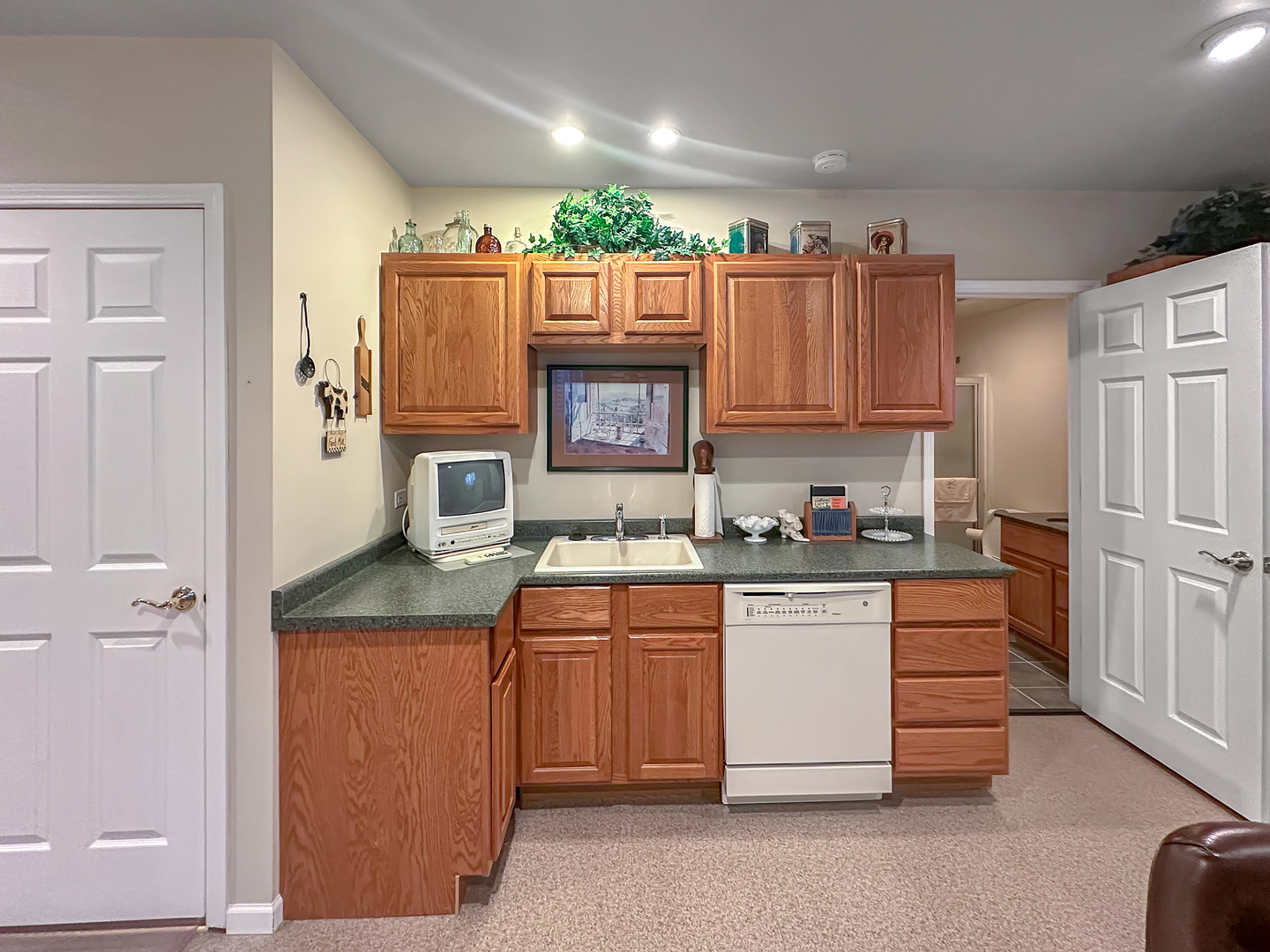 13954 S Tamarack Drive, Plainfield, IL 60544