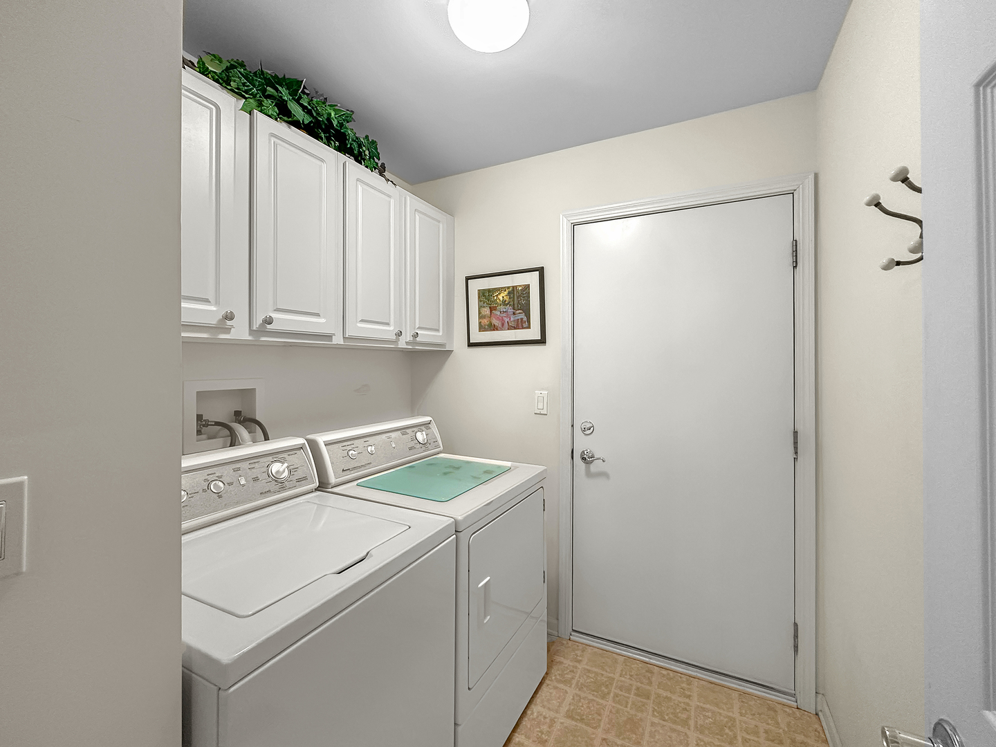 13954 S Tamarack Drive, Plainfield, IL 60544