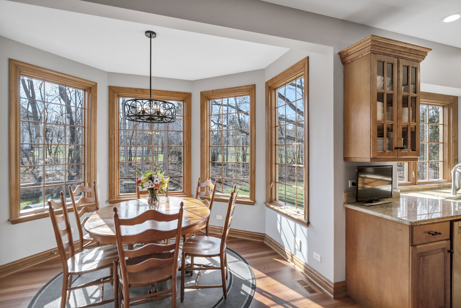 710 Reserve Court, South Elgin, IL 60177