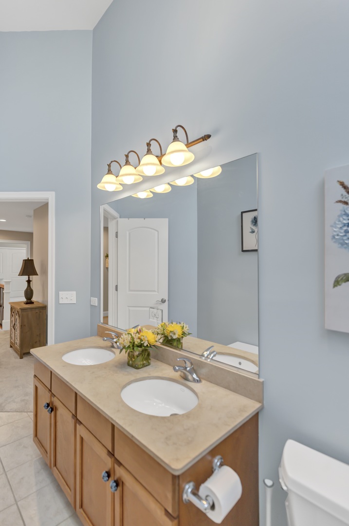 710 Reserve Court, South Elgin, IL 60177