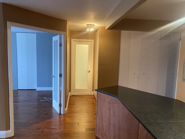 3930 N Pine Grove Avenue #514, Chicago, IL 60613