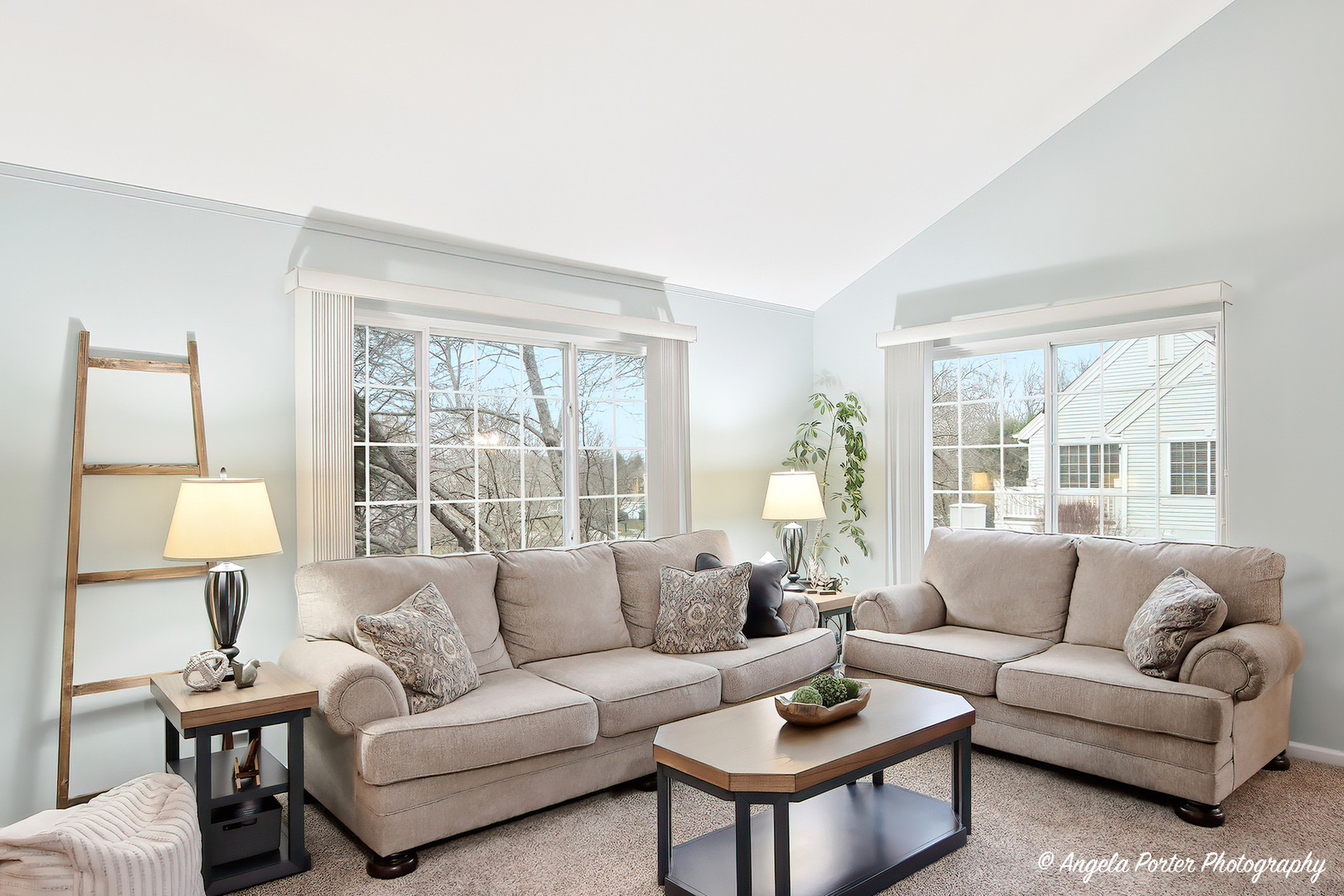 324 New Haven Drive #324, Cary, IL 60013