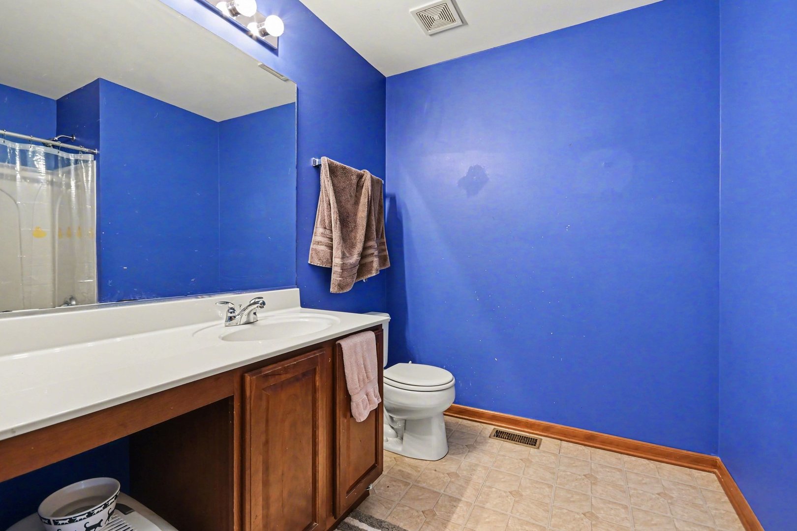 14517 Meadow Lane, Plainfield, IL 60544